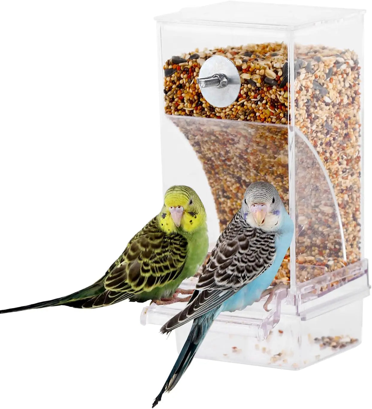 Two parakeets perched on a transparent bird feeder filled with seeds.