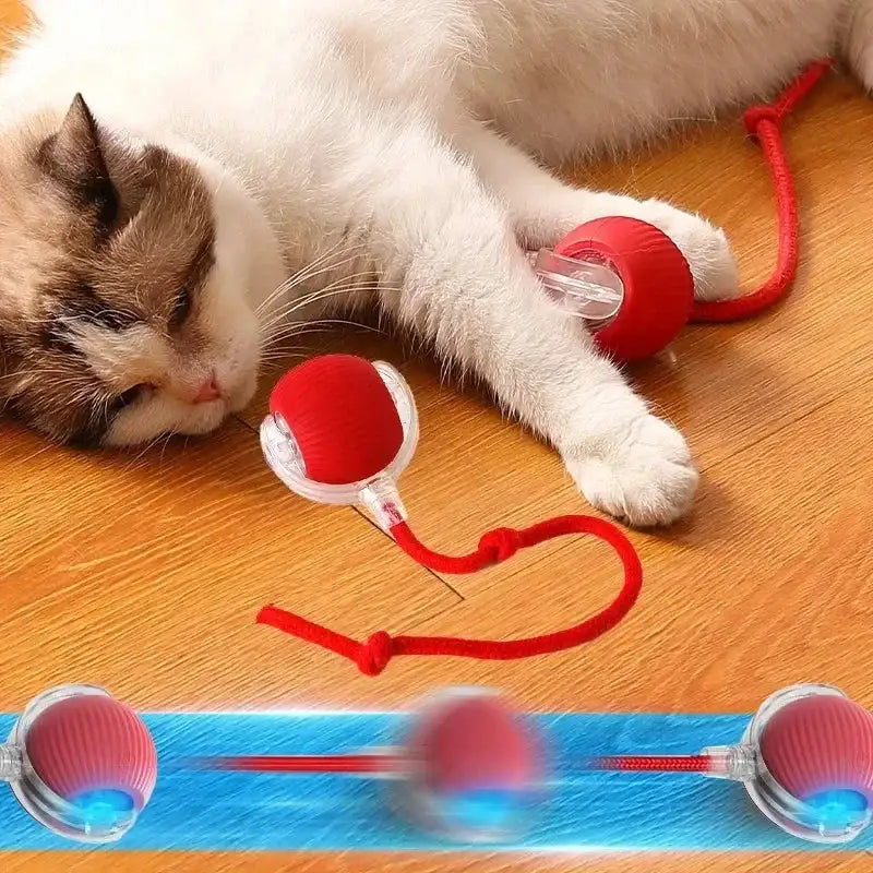 Self-Rolling Cat Toy Ball - Interactive Plush Teaser with Motion