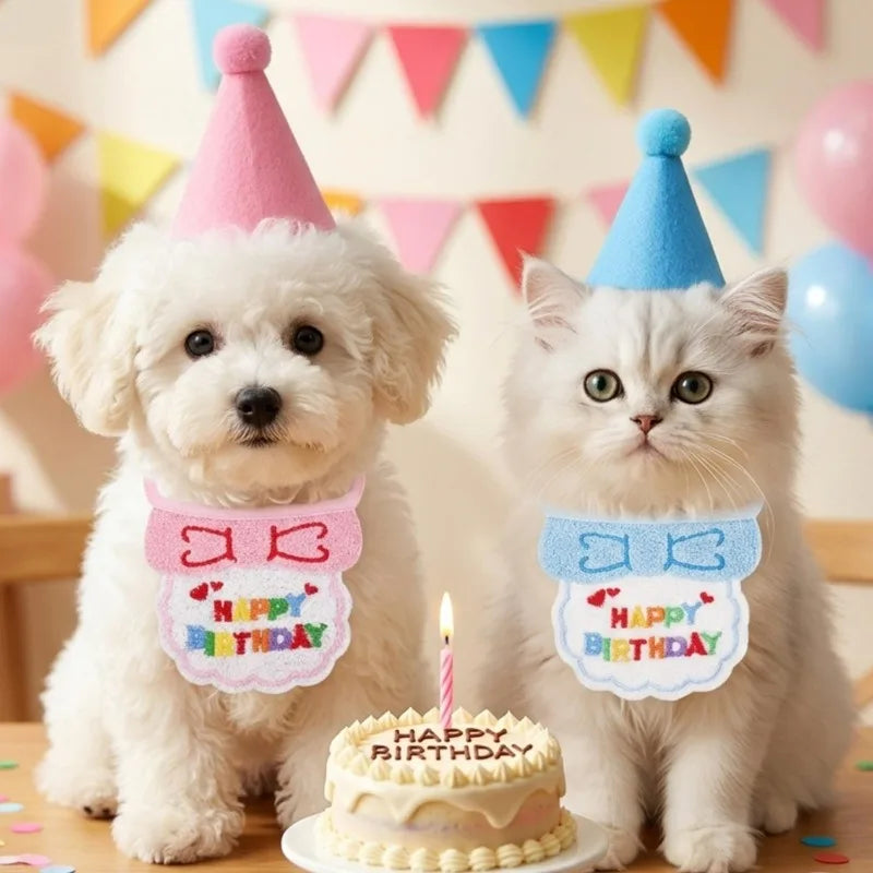 A small white dog and a white cat wearing pink and blue party hats and bibs with 'HAPPY BIRTHDAY' text, sitting behind a birthday cake with a candle in a decorated party setting.