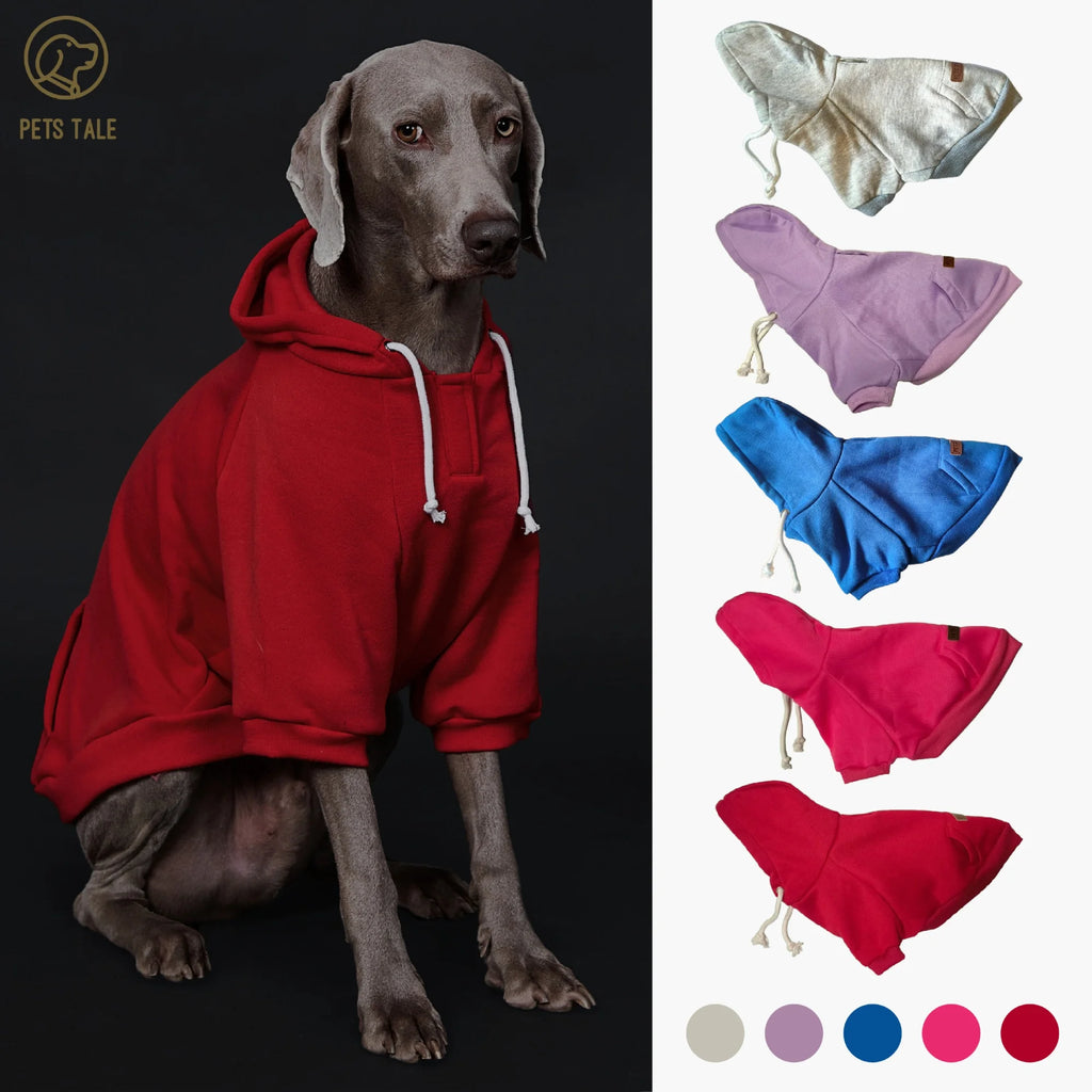 Dog wearing a red hoodie with color swatches on a black background