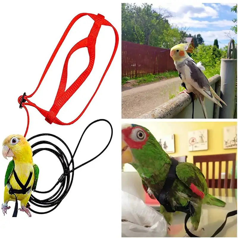 Adjustable Bird Training Harness & Leash - Anti-Bite Flying Rope for Parrots & Small Birds