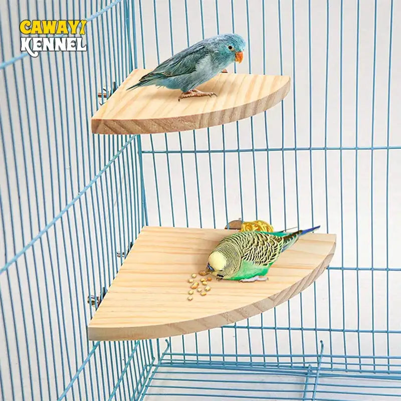 Fan-Shaped Wooden Perch Stand for Birds and Small Animals - Eco-Friendly Cage Accessory