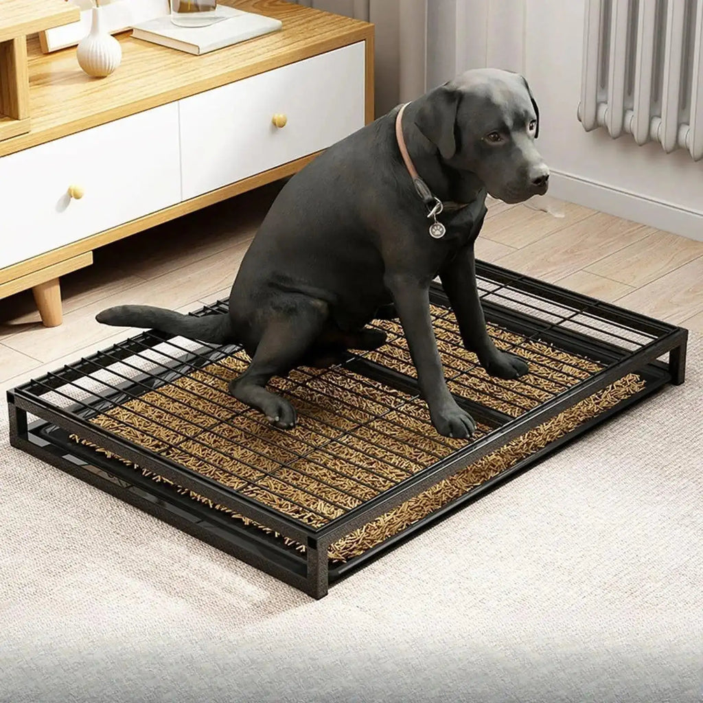 🐾 Metal Mesh Dog Toilet Tray – Reusable, Anti-Slip Puppy Potty Pan for Indoor Training & Easy Cleaning 🏠✨