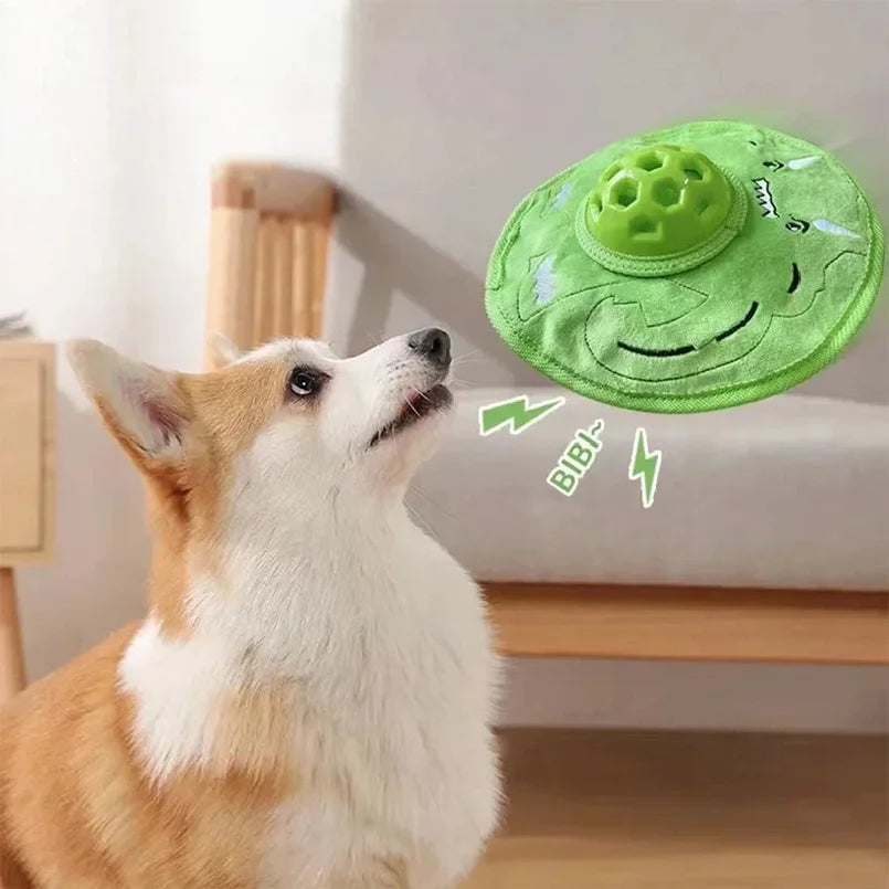 Dog looking at a green flying disc toy with 'BIBL' branding.