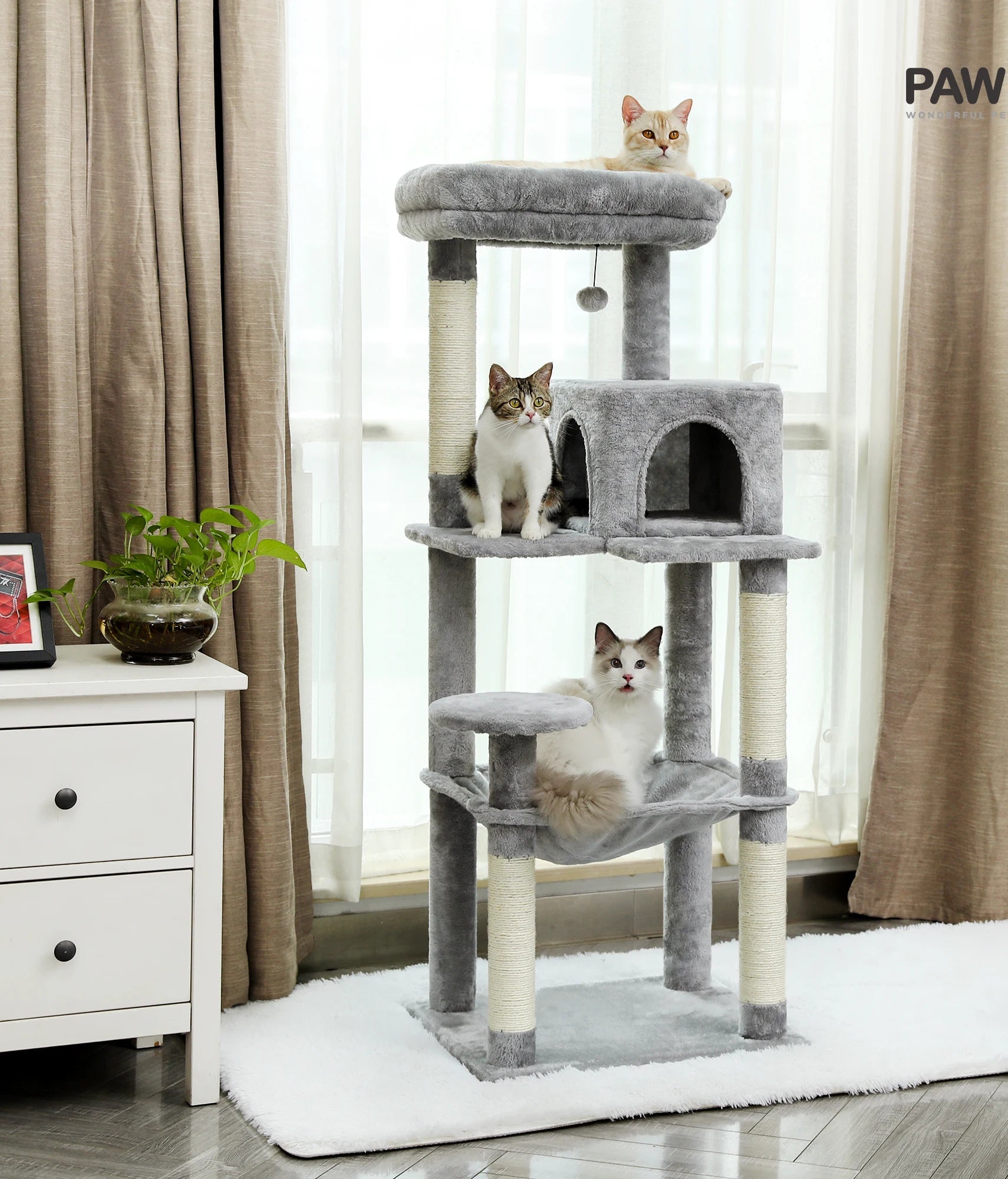 Cat tree with multiple levels and a cat sitting on each level in a room with curtains and a plant.