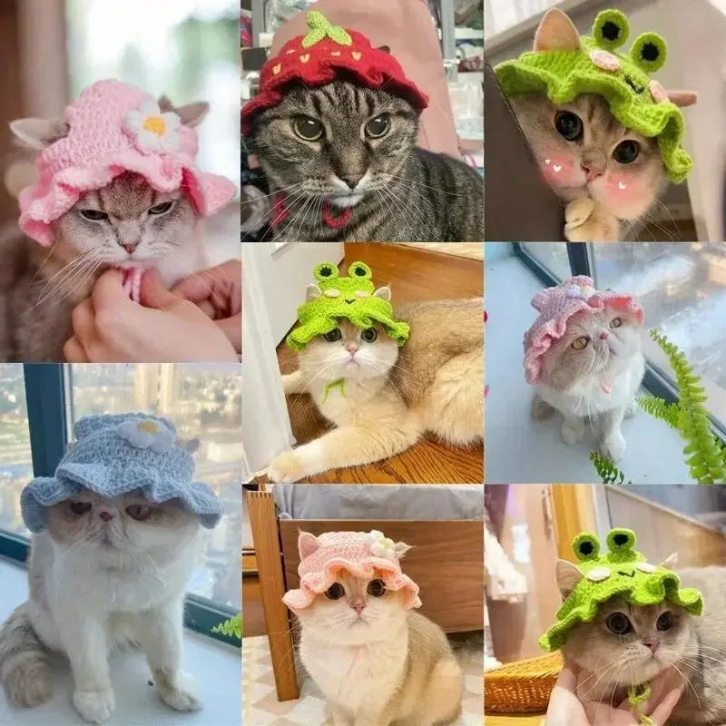 Collage of cats wearing various hats in different poses.