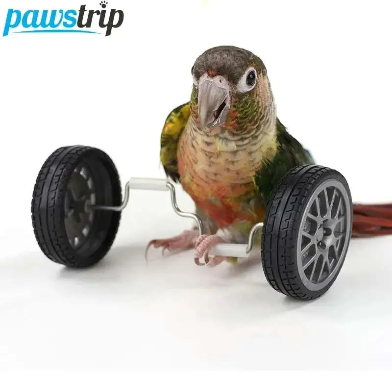 Interactive Parrot Balance Toy - Mini Intelligence Training Toy for Small to Medium Birds