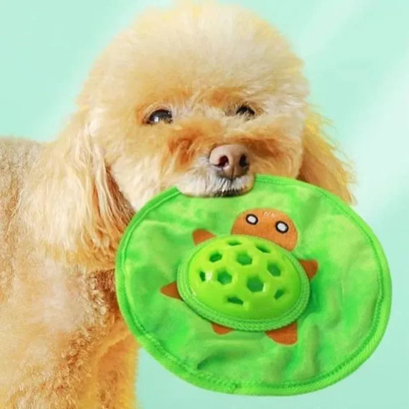 Dog holding a green turtle-shaped toy against a light blue background