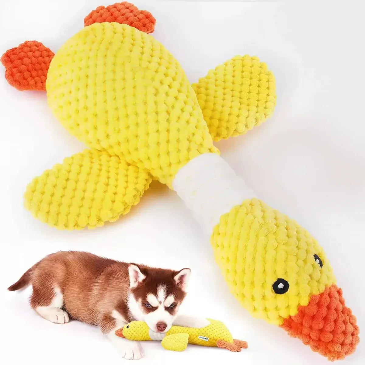 Dog playing with a yellow duck-shaped toy on a white background