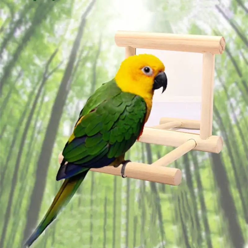 Wooden Bird Mirror Toy with Perch - Interactive Accessory for Small Parrots, Budgies, and Cockatiels