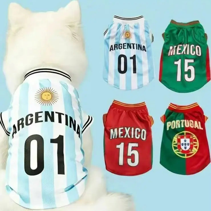 Cat wearing an Argentina jersey with other countries' jerseys displayed on a light blue background