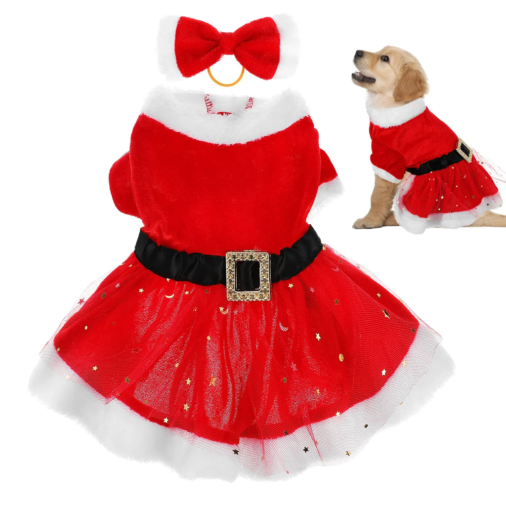 Red dog dress with white trim and black belt, featuring a bow on a white background.