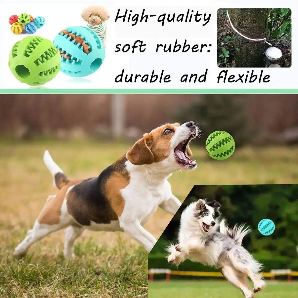 Durable Dental Chew Ball for Dogs – Snack-Dispensing Rubber Toy for Puppies & Large Breeds