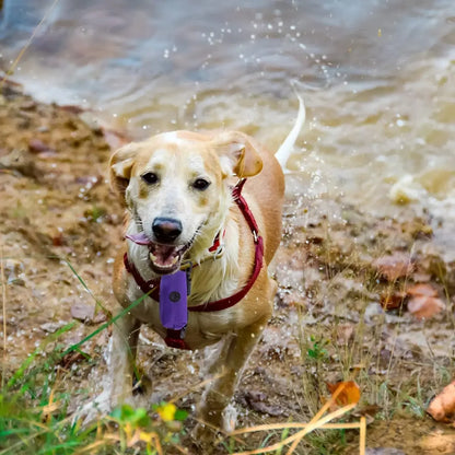 2-in-1 Hands-Free Poop Bag Dispenser w/Leash Clip & Storage Pocket - Waterproof