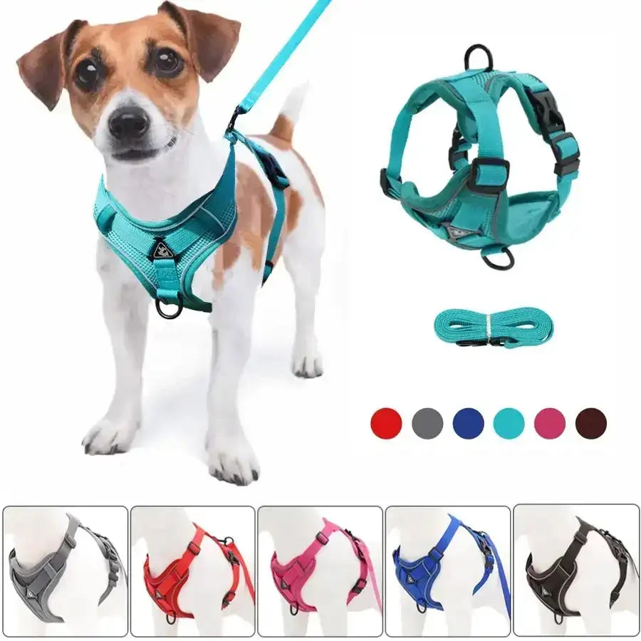 No-Pull Dog Harness & Leash Set - Adjustable Reflective Vest for Small Dogs & Cats, Breathable Mesh, Front/Back Hook