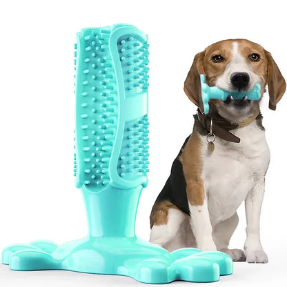 Cactus Dental Chew Toy: Self-Cleaning Toothbrush & Treat Dispenser for All Dogs