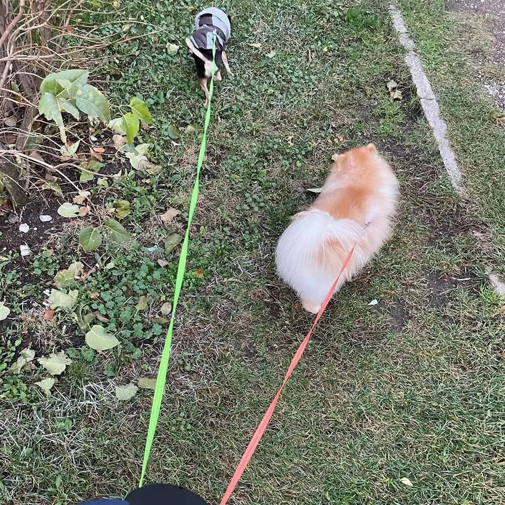 2-in-1 Auto-Retract Dual Dog Leash: LED Light + Tangle-Proof 360° Swivel & Poop Bag Dispenser