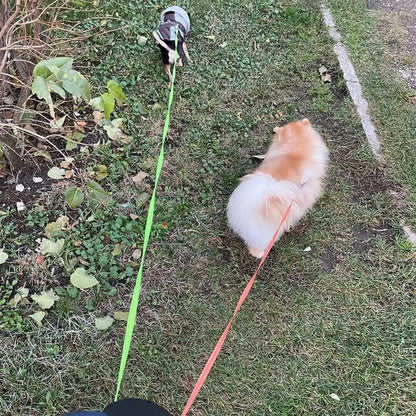2-in-1 Auto-Retract Dual Dog Leash: LED Light + Tangle-Proof 360° Swivel & Poop Bag Dispenser