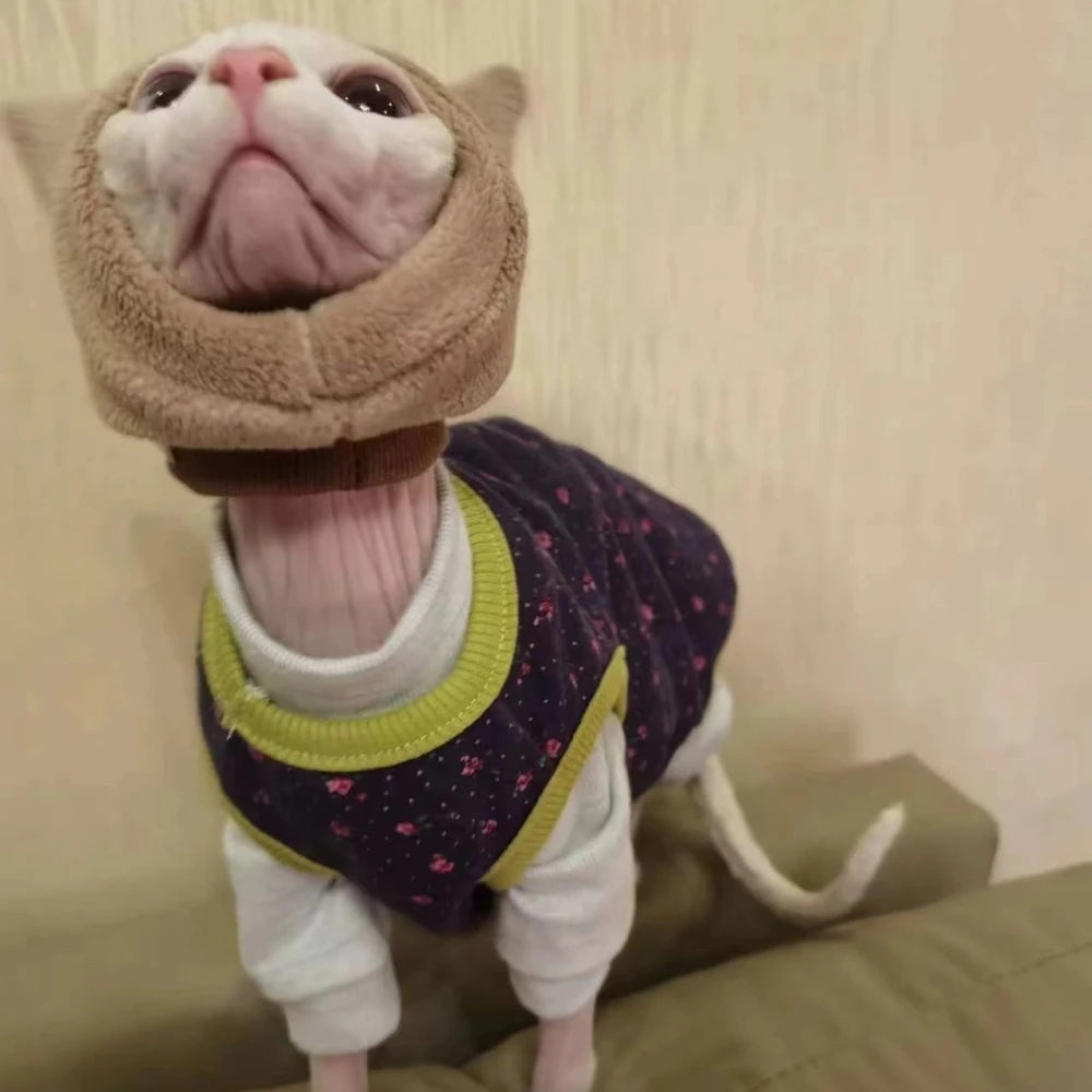 Cat wearing a small coat and hat on a beige couch