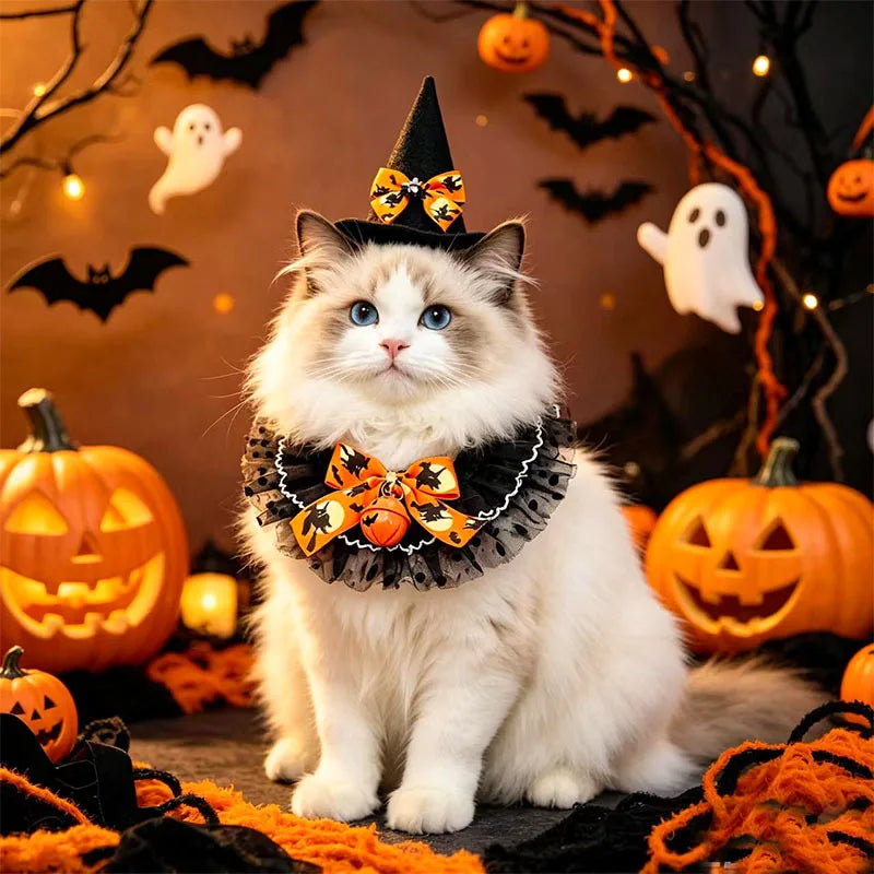 Halloween Pet Costume Set – Witch Hat & Bandana Scarf for Cats & Small Dogs, Cute Cosplay Outfit for Parties & Photos