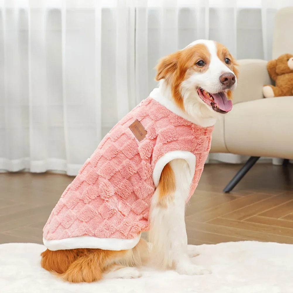Dog wearing a pink quilted coat sitting on a couch with a teddy bear.