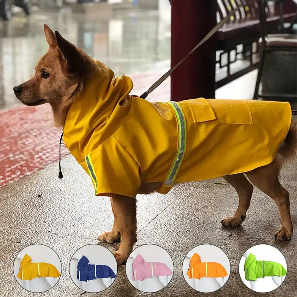 Stylish Waterproof Dog Raincoat: Keep Your Pup Dry and Chic! ☔🐶