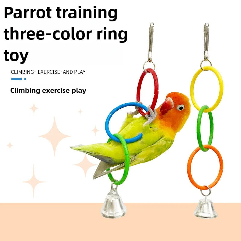 Parrot training three-color ring toy with colorful rings and a bell, featuring a parrot on a white background.