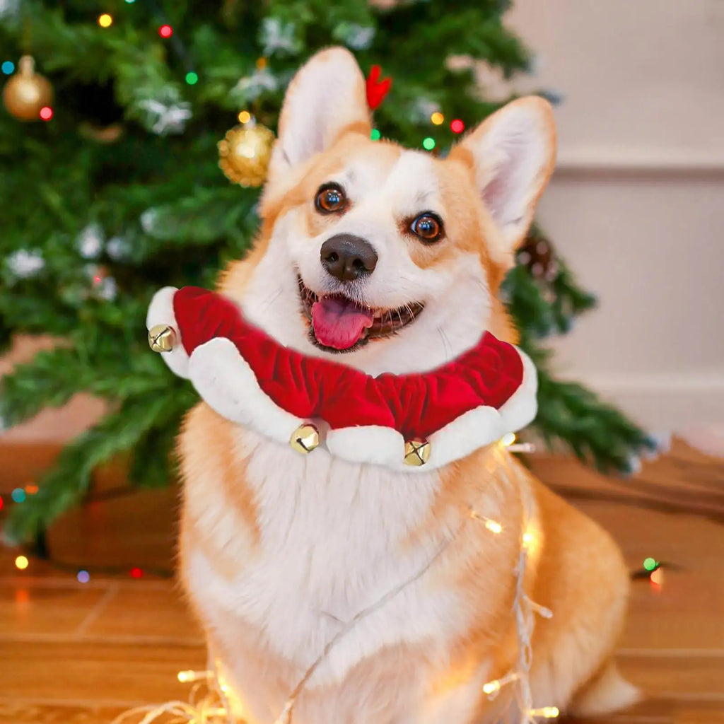 Christmas Dog Collar – Pet Cat Festive Neckwear, Stretchable Christmas Pet Collar with Bell for Hiking, Training, Outdoors & Indoors