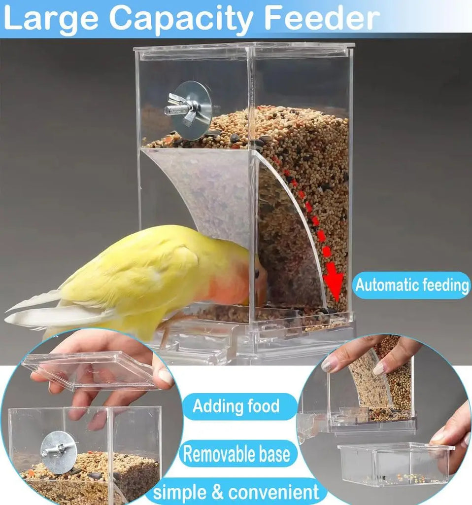 Bird feeder with clear container showing bird seeds, labeled 'Large Capacity Feeder' with features like automatic feeding and removable base.