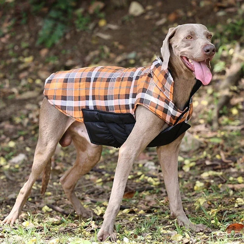 NONOR Winter Dog Jacket – Waterproof & Cozy Dog Clothes for Medium to Large Dogs, Warm Dog Coat for French Bulldogs, Labradors & More
