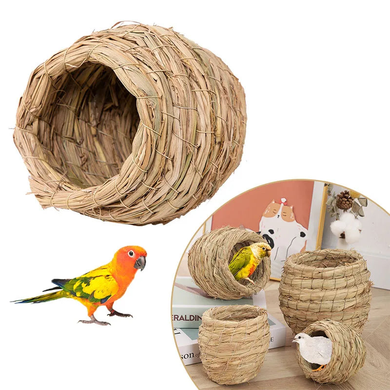 Woven bird nest with a parrot and another bird on a white background