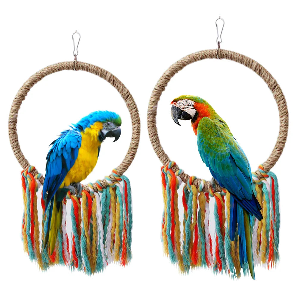 Two parrots perched on circular bird toys with colorful tassels on a white background.
