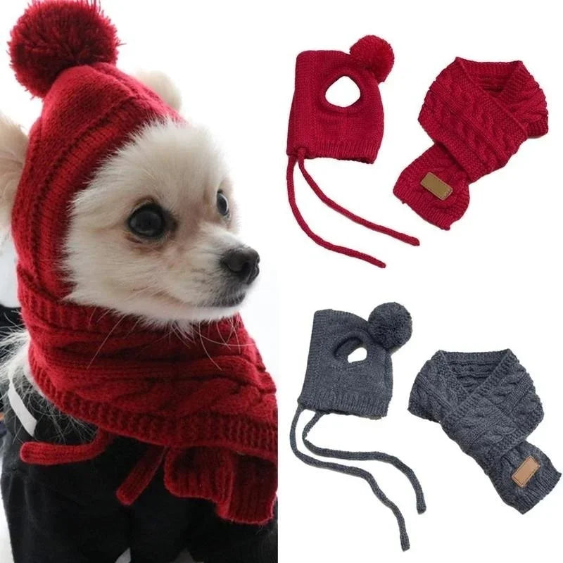 Dog wearing a red knitted hat and scarf with matching accessories on a white background