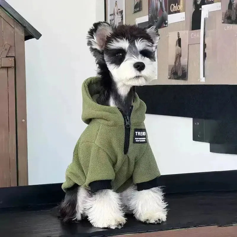 Dog wearing a green hoodie with a brand logo, sitting on a wooden floor.