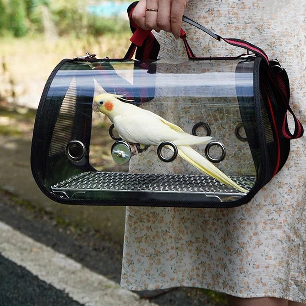 Clear pet carrier with a bird inside, held by a person outdoors.