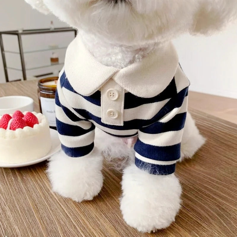 Small dog wearing a striped outfit with a cake and berries on a table in the background
