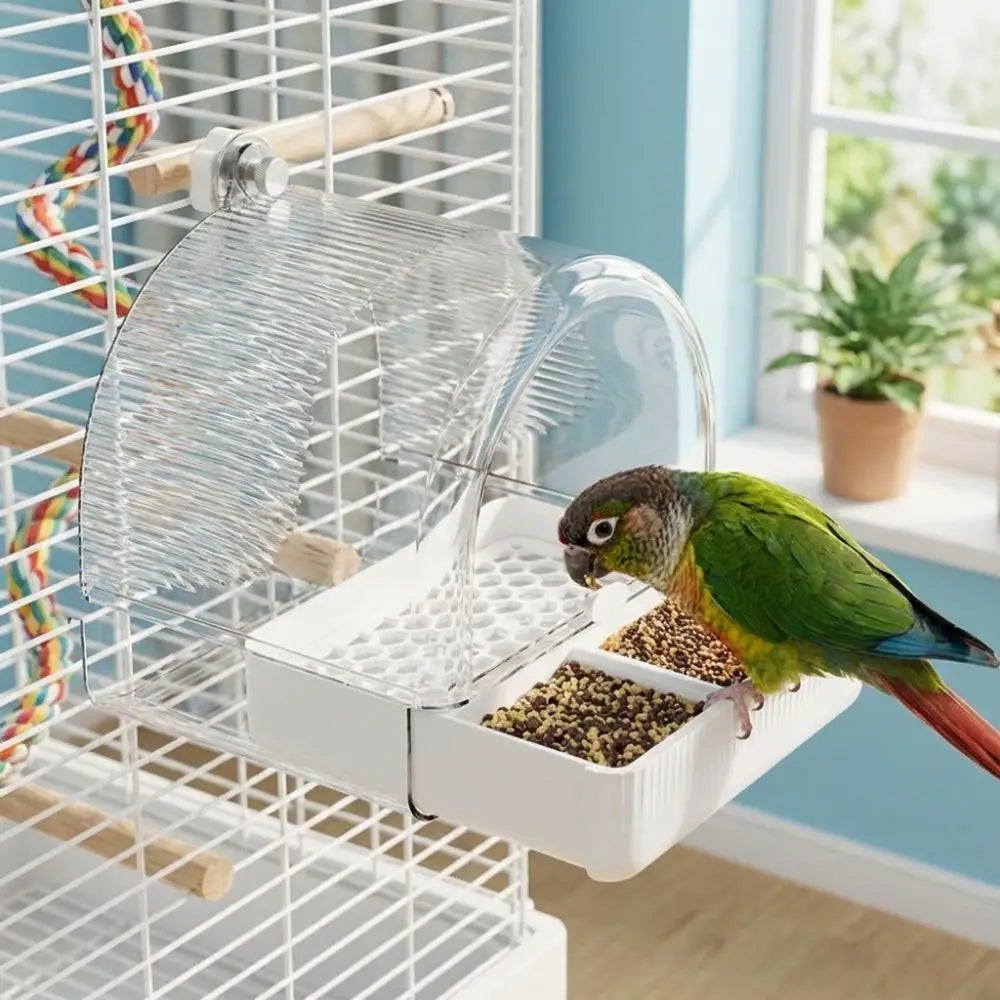 Parrot feeding from a bird feeder attached to a cage with a blue wall and window in the background.