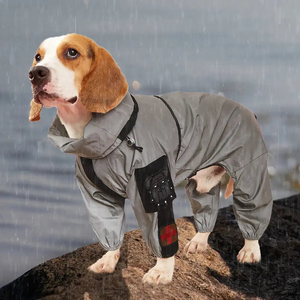 Outdoor Large Dog Raincoat: Stylish Protection for All Weather! ☔🐾