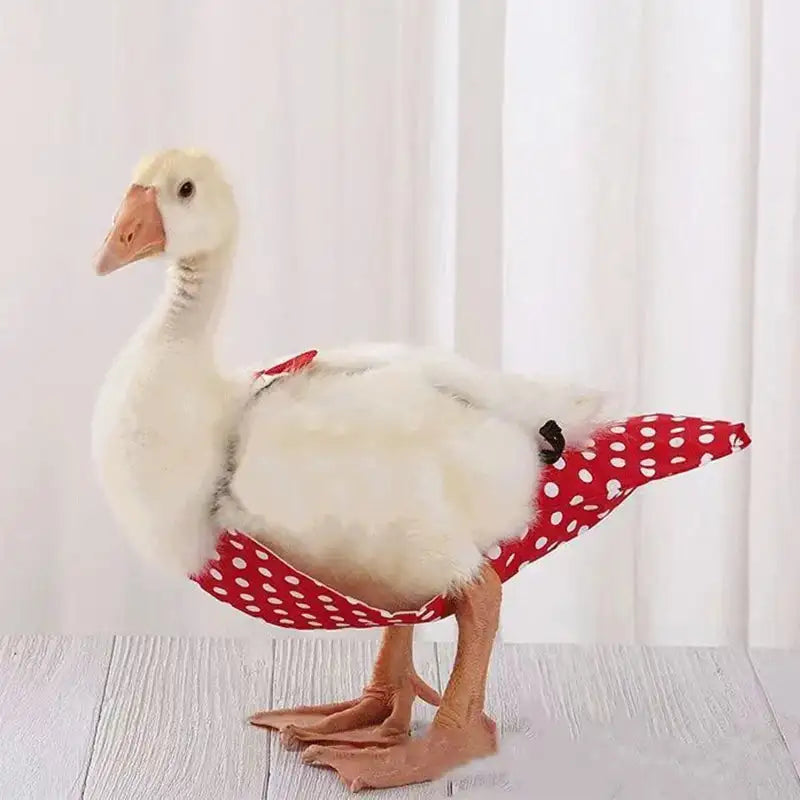 2025 Kodak Duck Diaper Bellyband - Adjustable Flight Suit for Birds - Comfortable Pooper Diapers & Vests for Pet Care