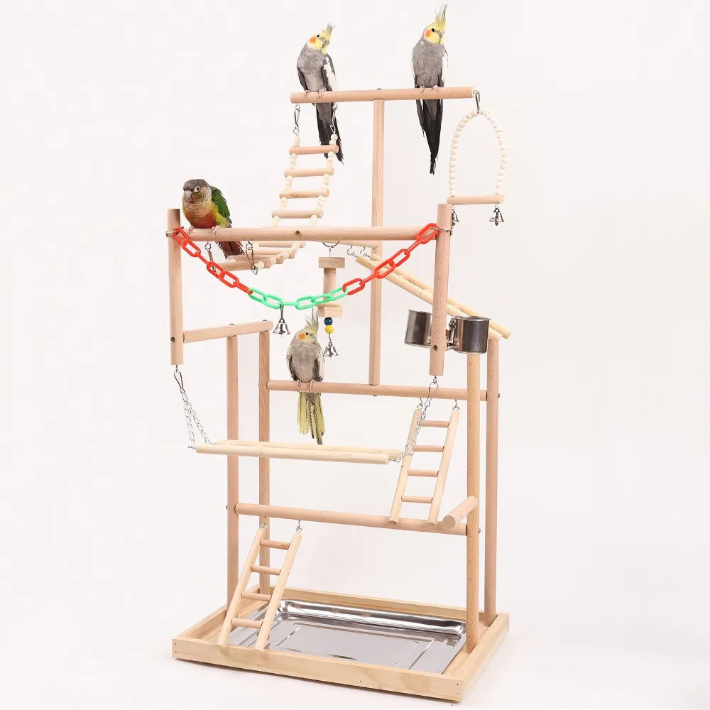 Bird playstand with multiple birds on a white background