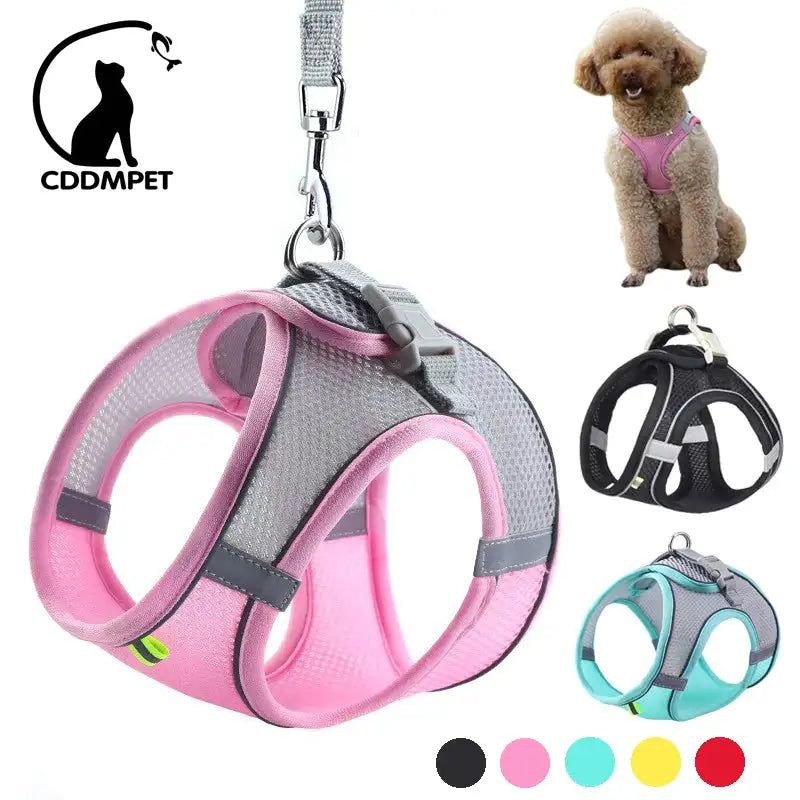 No-Pull Small Dog Harness & Leash Set - Reflective, Breakaway Vest for Frenchies, Chihuahuas, Pugs