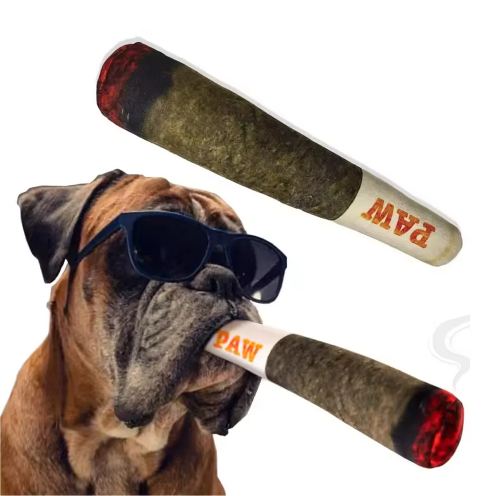 Dog wearing sunglasses holding a smoking dog toy with 'PAW' branding.
