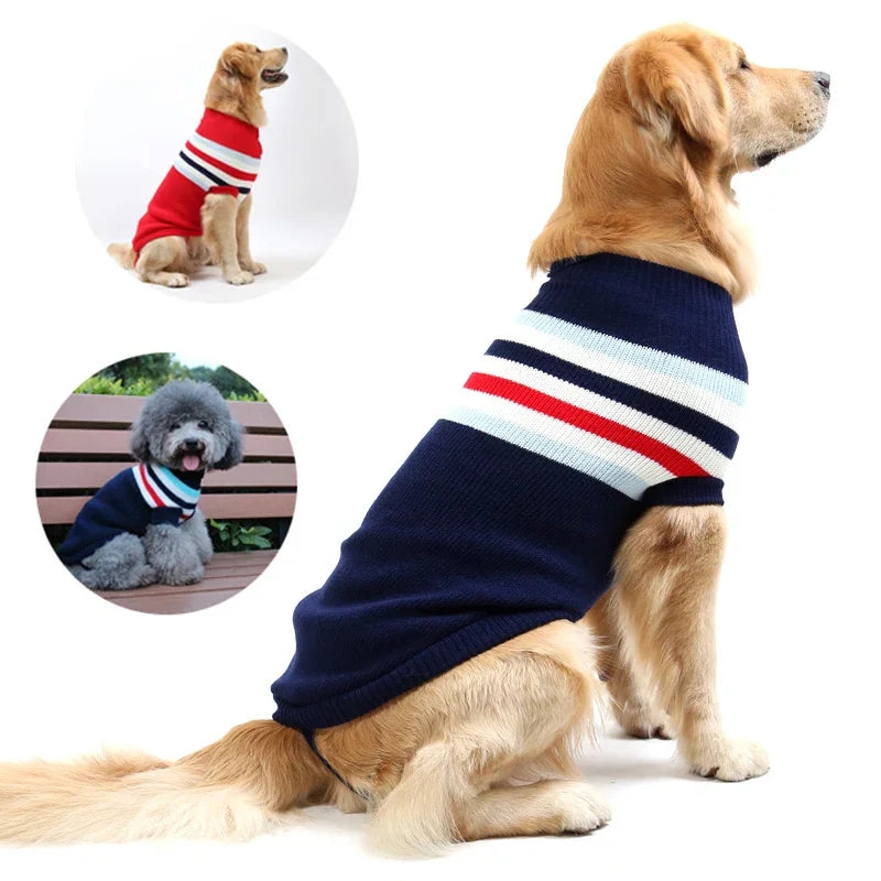 Dog wearing a navy blue sweater with red and white stripes, sitting on a white background.