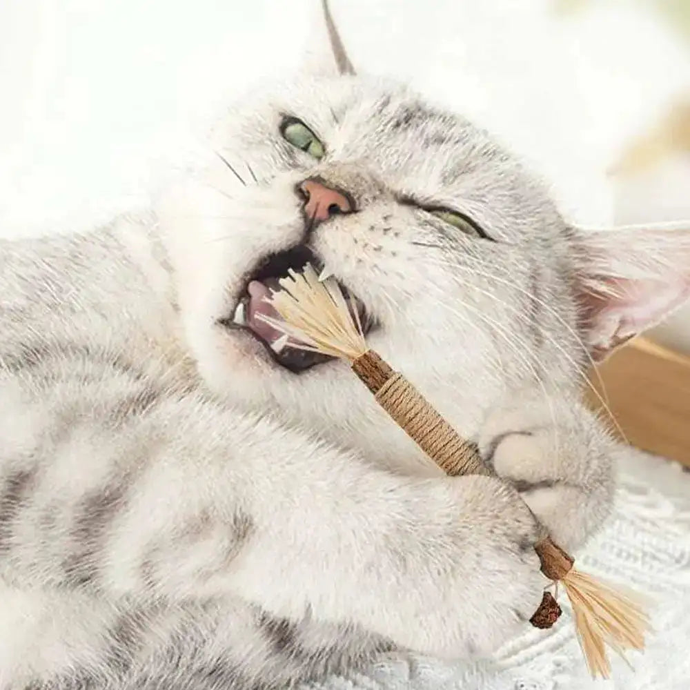 22cm Silvervine & Catnip Dental Chew Stick - Sisal Cat Scratching Toy for Teeth Cleaning & Training