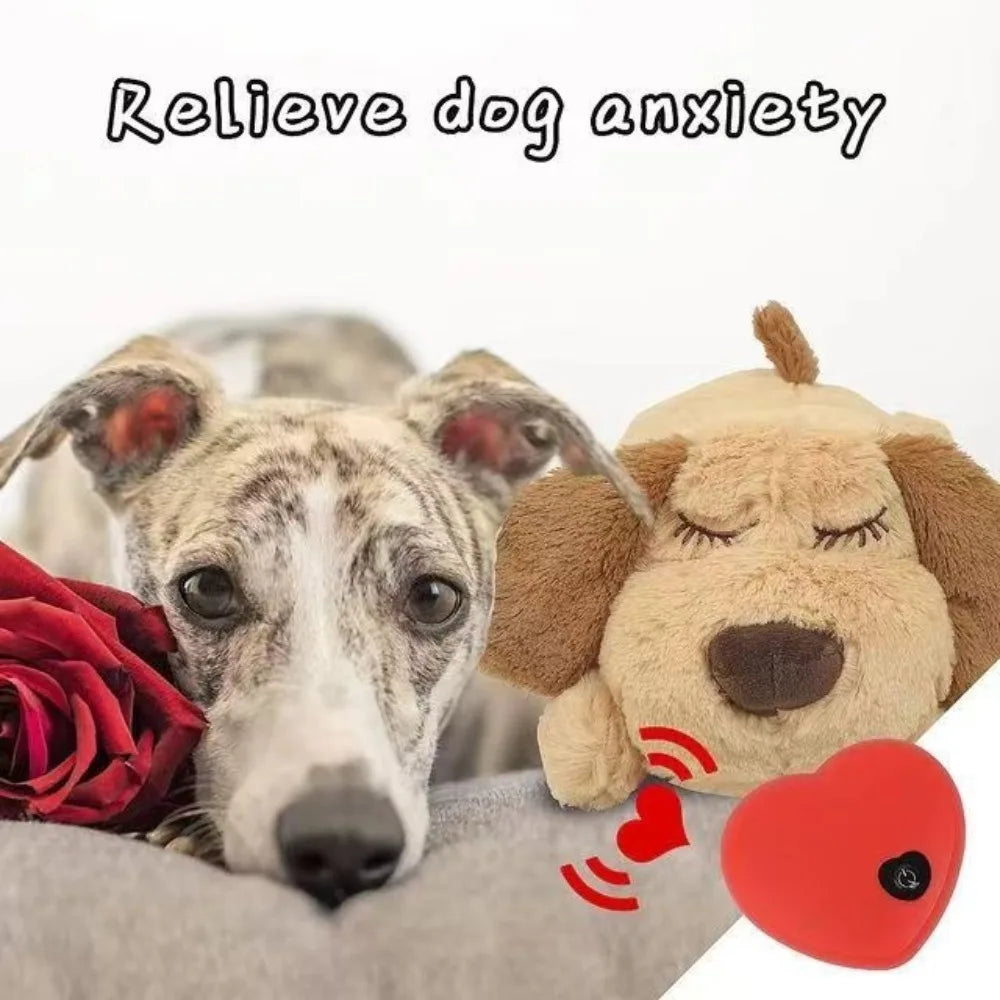 Dog with a plush toy and text 'Relieve dog anxiety' on a white background