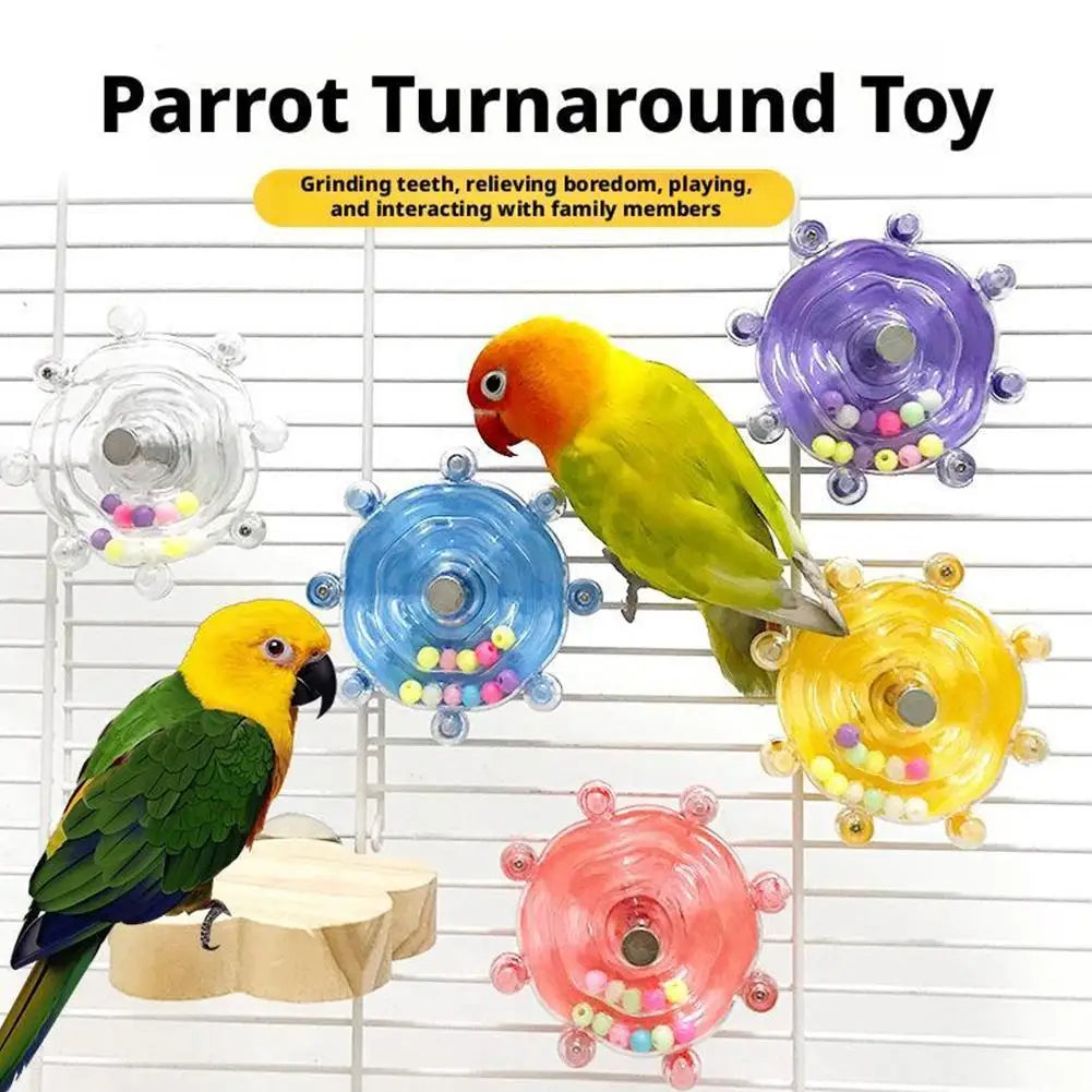 Parrot Turnaround Toy with colorful wheels on a white background