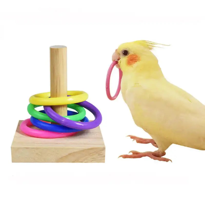 Bird Training Toys Set: Wooden Block Puzzle with Colorful Plastic Rings - Interactive Chew Toy for Parrots and Small Birds