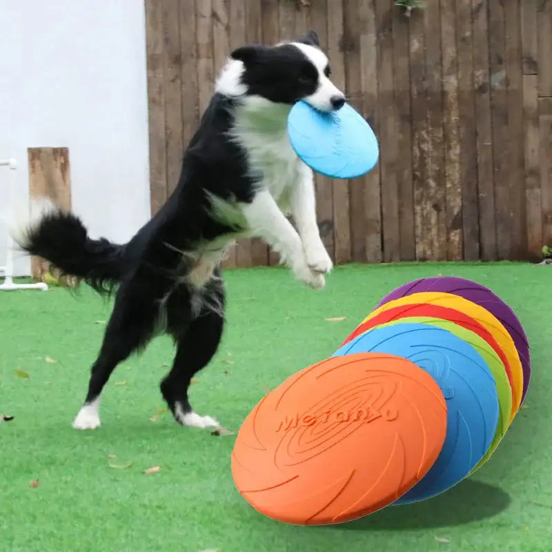 Ultra-Durable Chew-Proof Dog Frisbee – Bite Resistant Flying Disc for Outdoor Training & Play