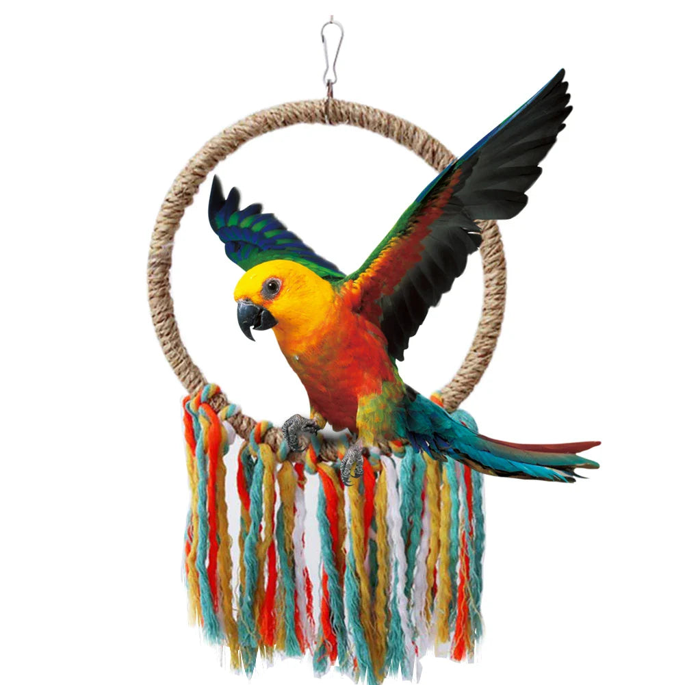 Colorful parrot perched on a dreamcatcher with multicolored strings against a white background