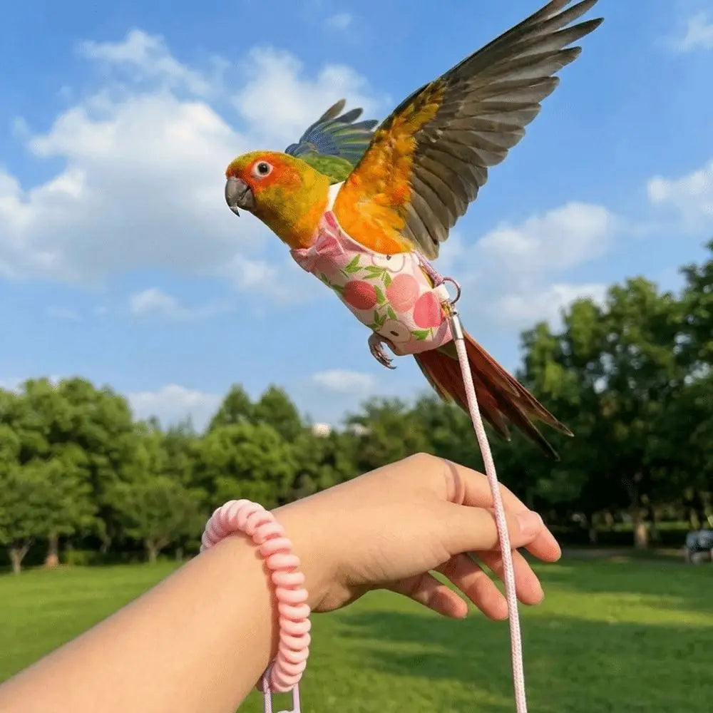 A small parrot wearing a pink floral harness is being held by a person's hand outdoors against a blue sky and green park background.